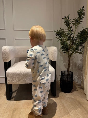 Baby Dino Co Ord Set