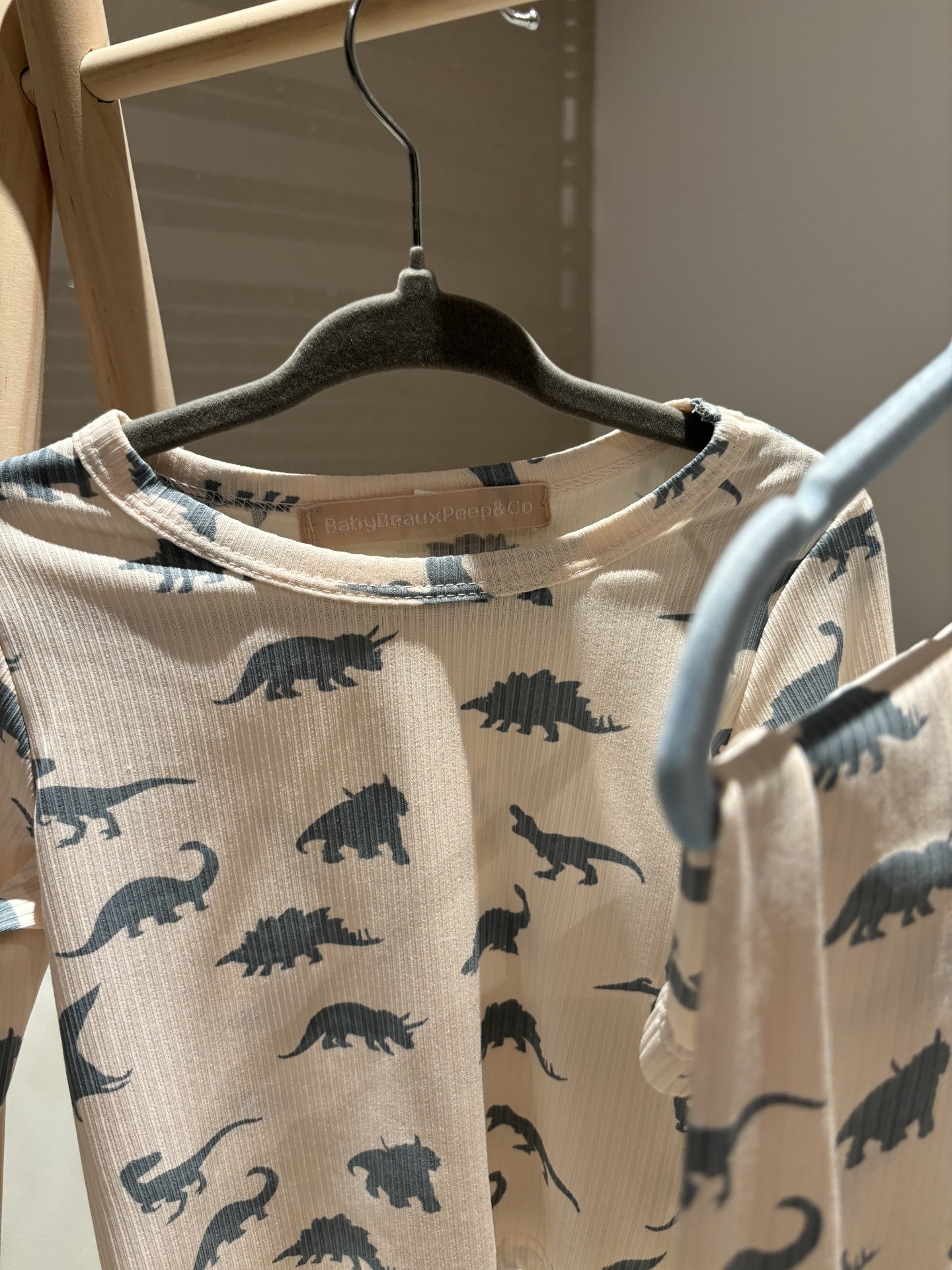 Baby Dino Co Ord Set